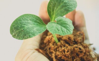 Gardening & Socially Responsible Investing